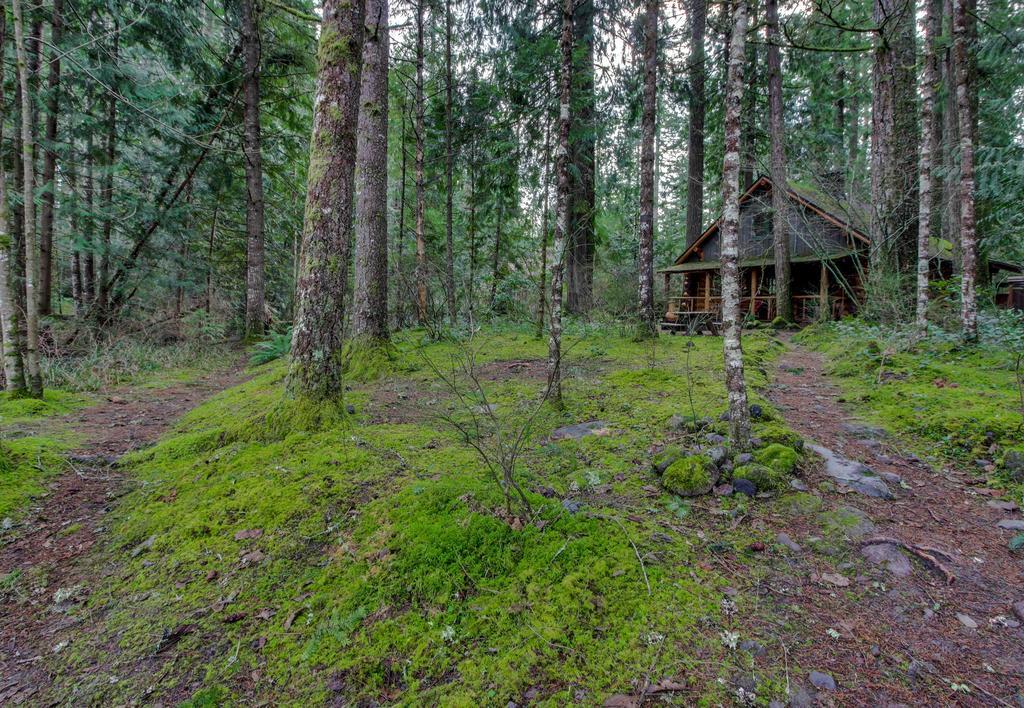 Zoe'S Log Cabin Welches Exteriör bild